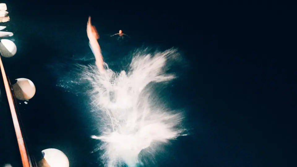 A white splash and an elongated body cut into dark water.