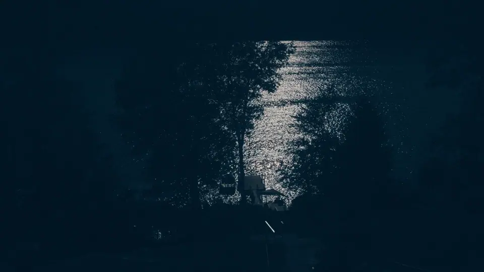 A narrow path of reflected light cuts through dark foliage.