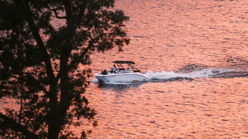 A boat wake crosses pink water beside dark foliage.