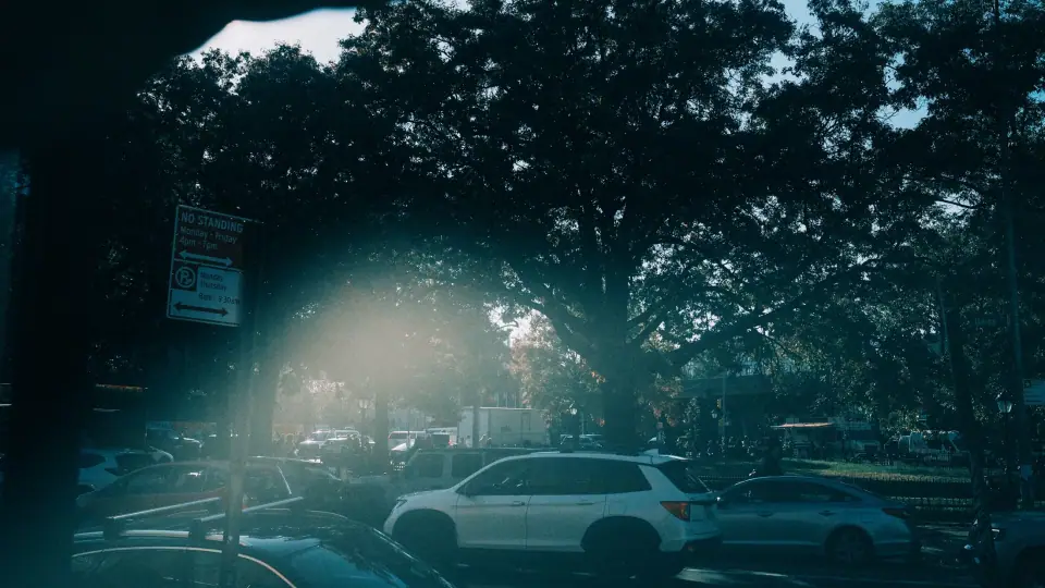 Flare, foliage, and parked cars overlap in a street scene.