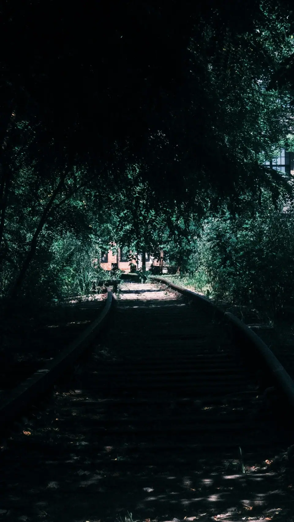 Dark foliage surrounds receding tracks and a small distant light.