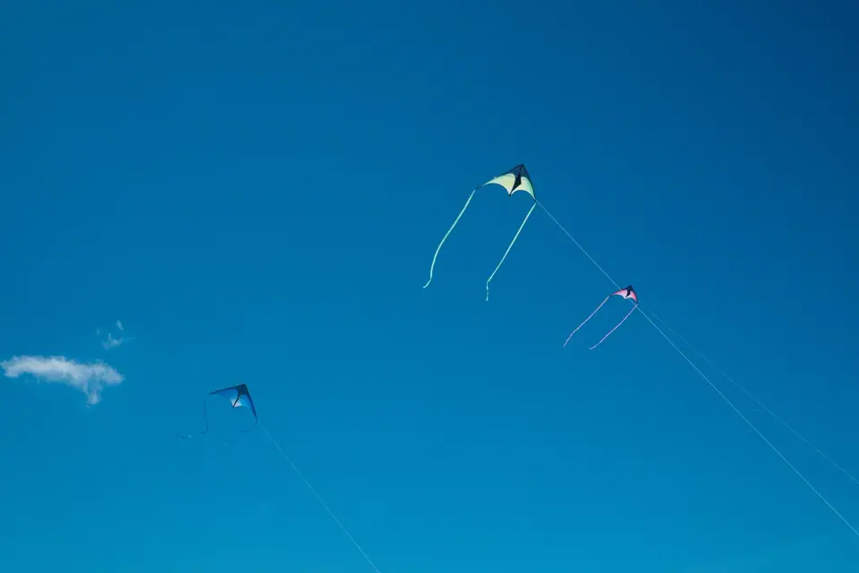 Small kites and fine lines against a broad blue background.